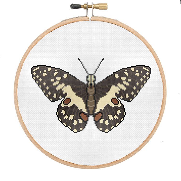 Butterflies — Cross-Stitch Pattern Book